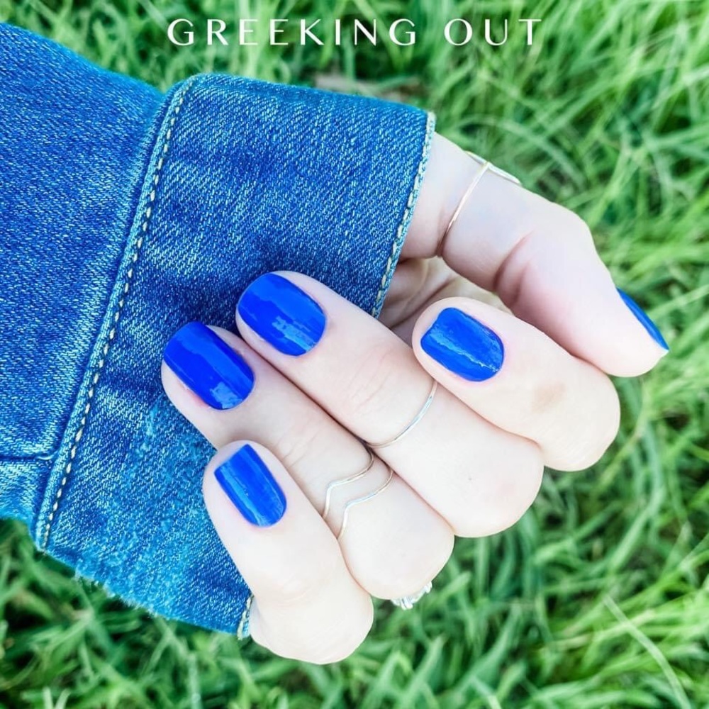 🌟2x Host Pick🌟Color Street 💙 Greeking Out